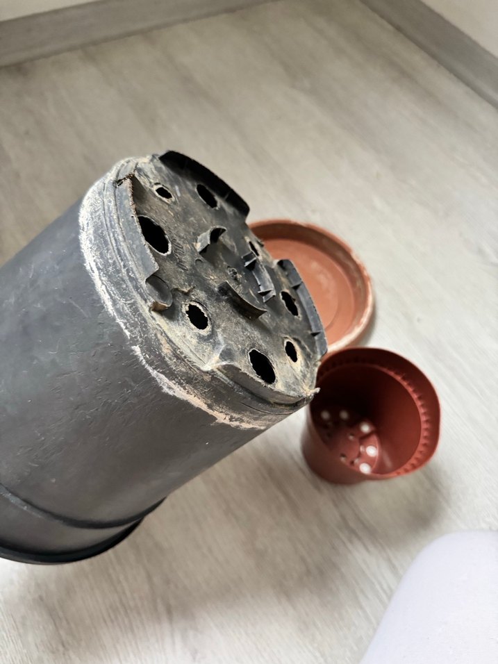 Saksılar - Görsel 2