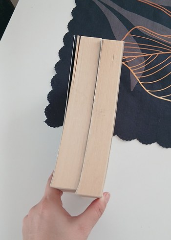 Emanet Gelin Kitap Seti - Şehnaz & Gülşen - Görsel 3