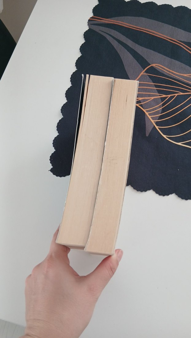 Emanet Gelin Kitap Seti - Şehnaz & Gülşen - Görsel 3