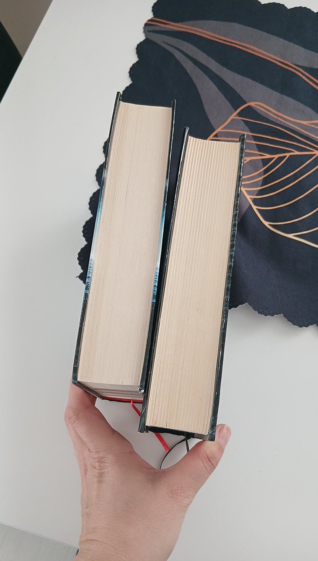 Veliaht serisi - Filiz Puluç Romanı - Görsel 3