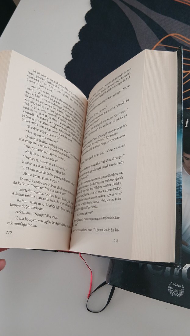 Veliaht serisi - Filiz Puluç Romanı - Görsel 4