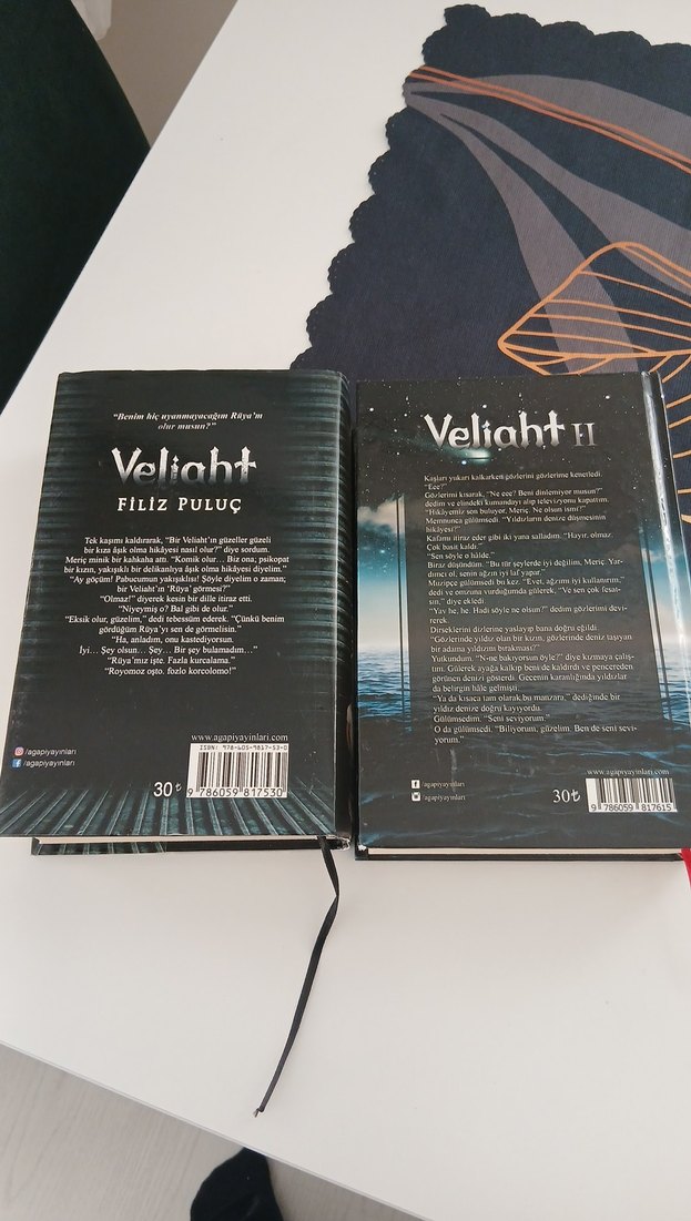 Veliaht serisi - Filiz Puluç Romanı - Görsel 2