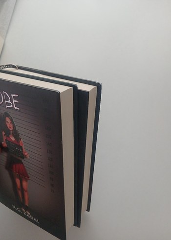 N.G. Kabal'dan Saklambaç ve sobe Romanları - Görsel 4