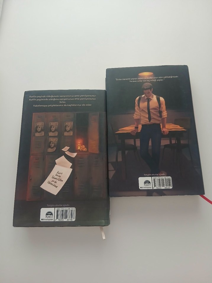 N.G. Kabal'dan Saklambaç ve sobe Romanları - Görsel 2