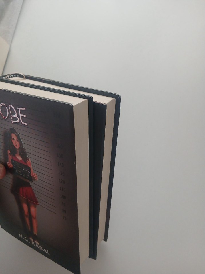 N.G. Kabal'dan Saklambaç ve sobe Romanları - Görsel 4