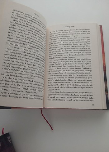 Bir Sarmaşık Tecrisi - Kübra Nur - Görsel 4