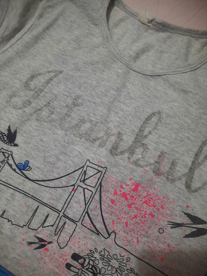 Kız Çocuk Gri Bisiklet Baskılı Kısa Kollu Tişört - Görsel 2