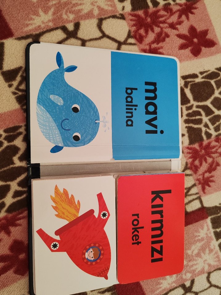 Hareketli Kanatçıklar Renkler Kitabı - Görsel 2