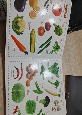 Resimli Yaşama Merhaba Eğitim kitabı - Görsel 3