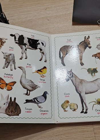 Resimli Yaşama Merhaba Eğitim kitabı - Görsel 2