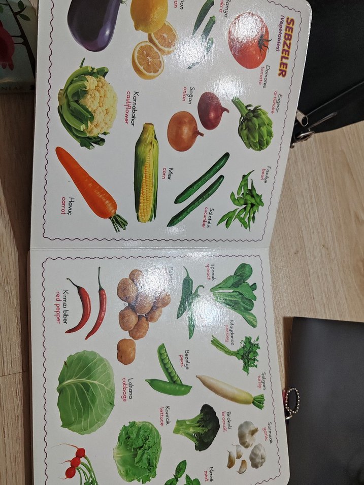 Resimli Yaşama Merhaba Eğitim kitabı - Görsel 3