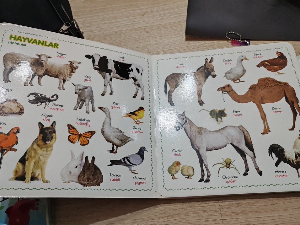 Resimli Yaşama Merhaba Eğitim kitabı - Görsel 2