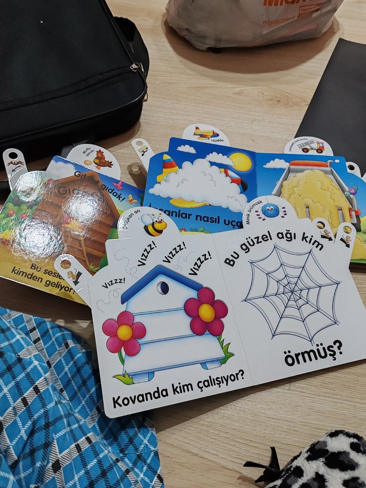 Hareketli sayfalı eğitici kitap - Görsel 2