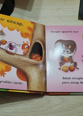 Hayvanları Tanıyalım Bahçe Çocuk Kitabı - Görsel 2