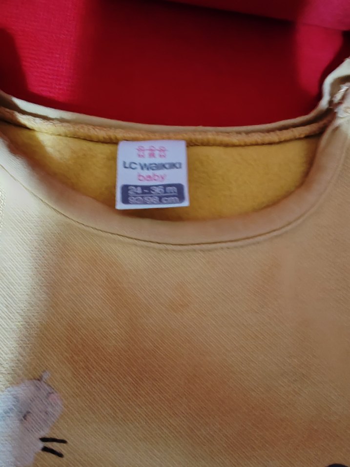 Kız Çocuk Bej Uzun Kollu Sweatshirt - Görsel 5