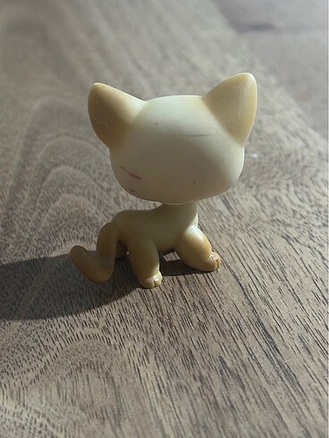  LPS miniş shorthair #816 kedi