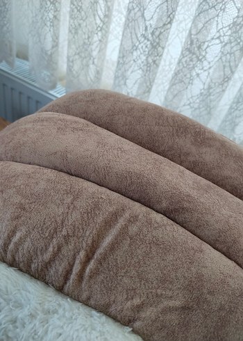 Beden Renk kedi evi