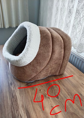 kedi evi