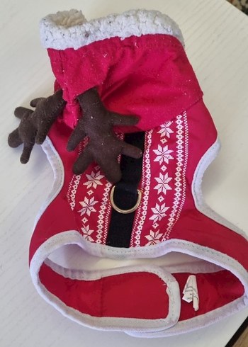 Renkli Mickey Mouse Fermuarlı Köpek Kıyafeti 4 parça - Görsel 4