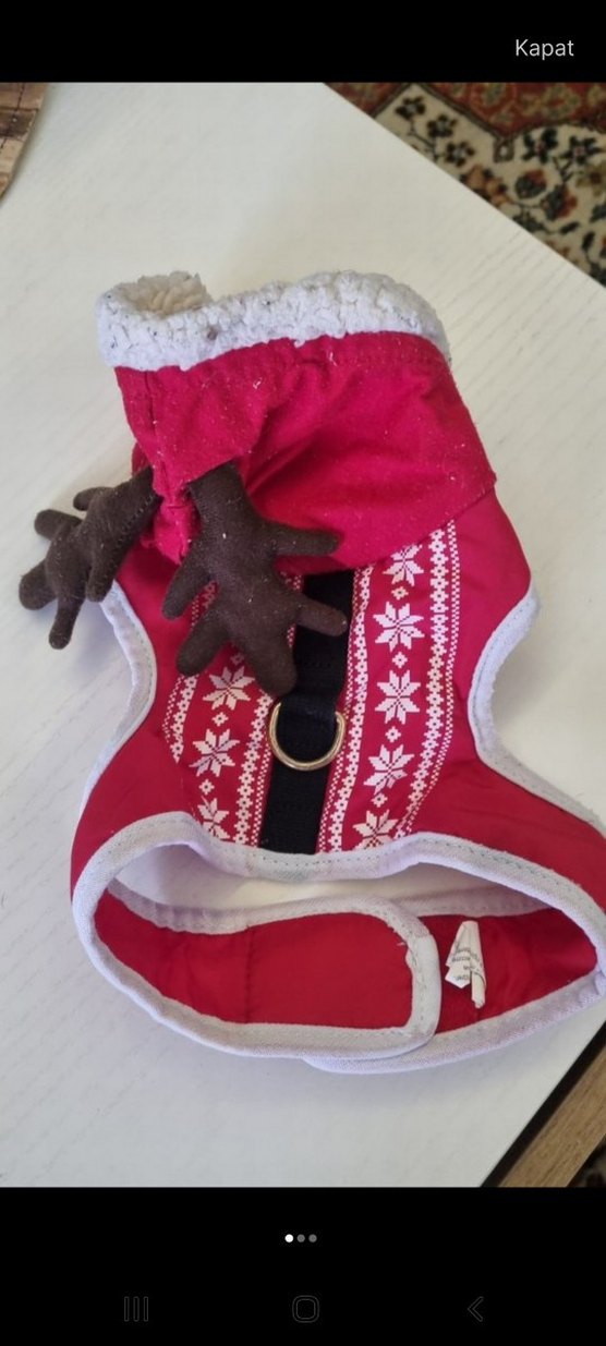 Renkli Mickey Mouse Fermuarlı Köpek Kıyafeti 4 parça - Görsel 4