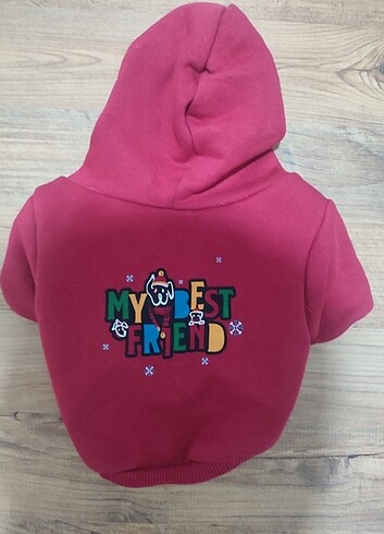 Evcil hayvan kiayafeti - Görsel 2