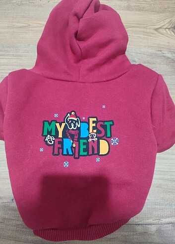 Evcil hayvan kiayafeti - Görsel 4