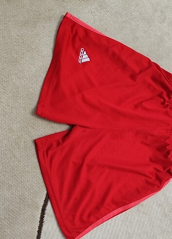 Adidas kırmızı şort