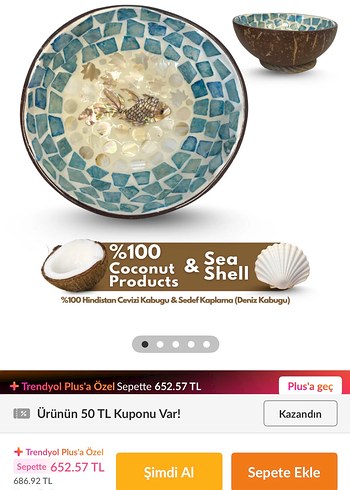 Hindistan Cevizi Kase - Görsel 6