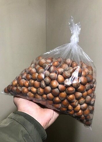 5,5 kilo findik