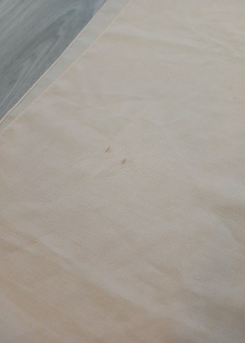 Kadın Armine Şal - Görsel 2