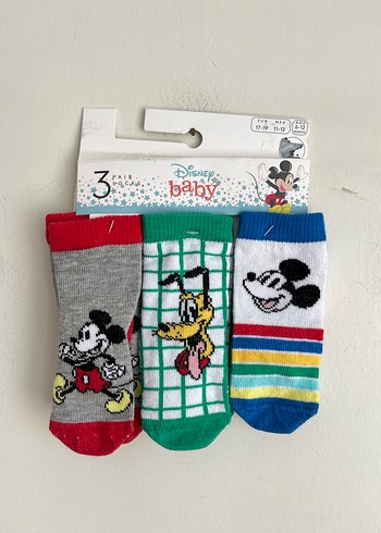 Walt Disney World 19