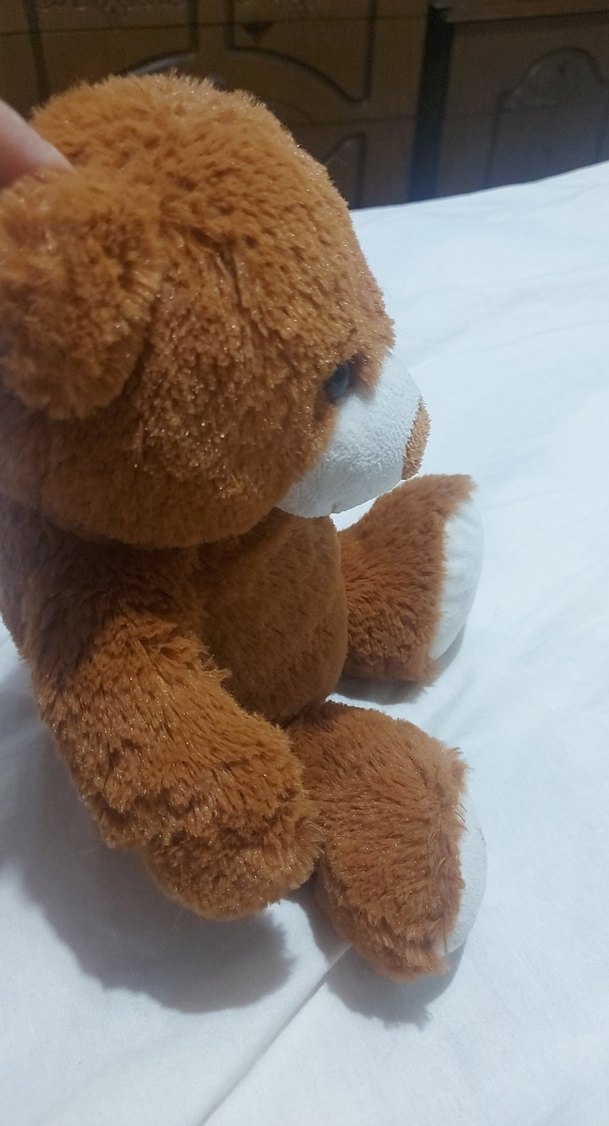 Kahverengi Peluş Ayıcık Oyuncak - Görsel 3