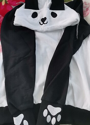 Panda kazak 