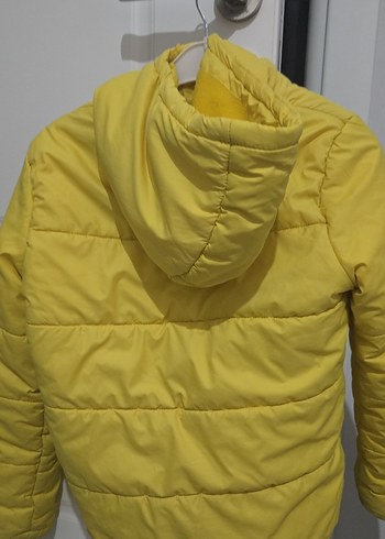 Sarı Fermuarlı erkek çocuk mont - Görsel 3