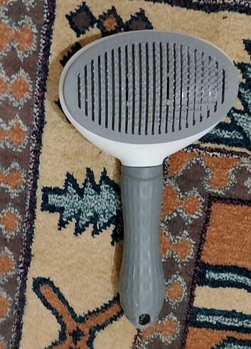  Kedi Tarağı