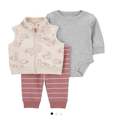 Carter?s yelekli üçlü set