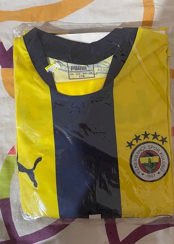 Puma Fenerbahce Forma Takim