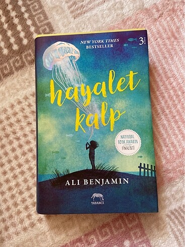 hayalet kalp - ali benjamin