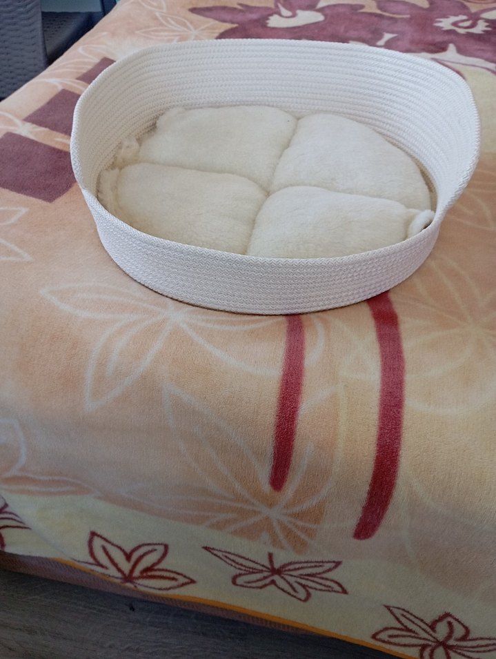 kedi ve köpek yatağı - Görsel 3