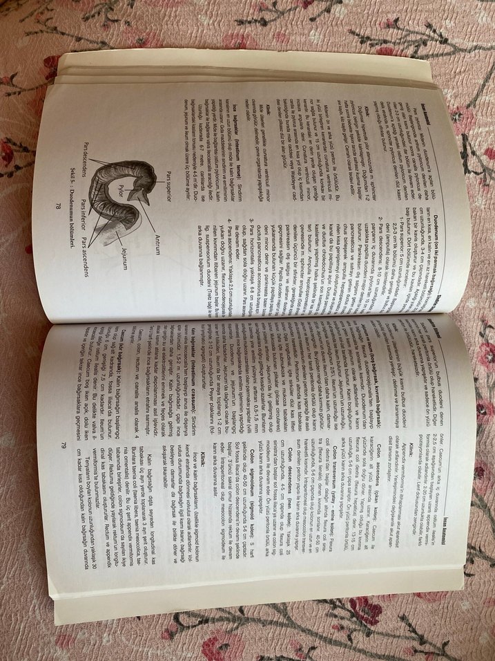 İnsan Anatomisi Kitabı - Akademi - Görsel 3