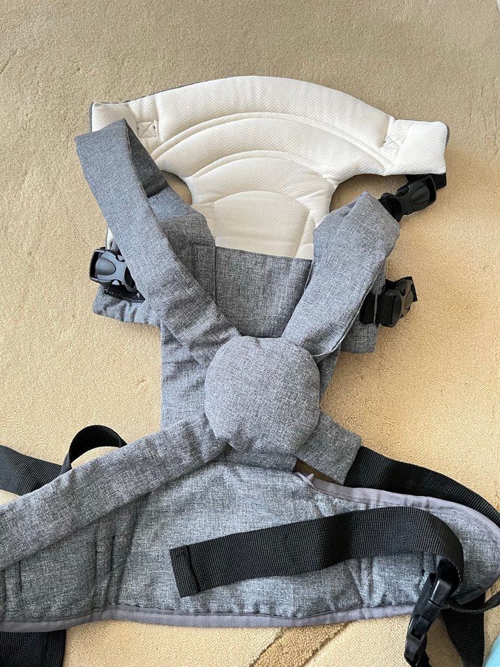 Gri kanguru - Görsel 2