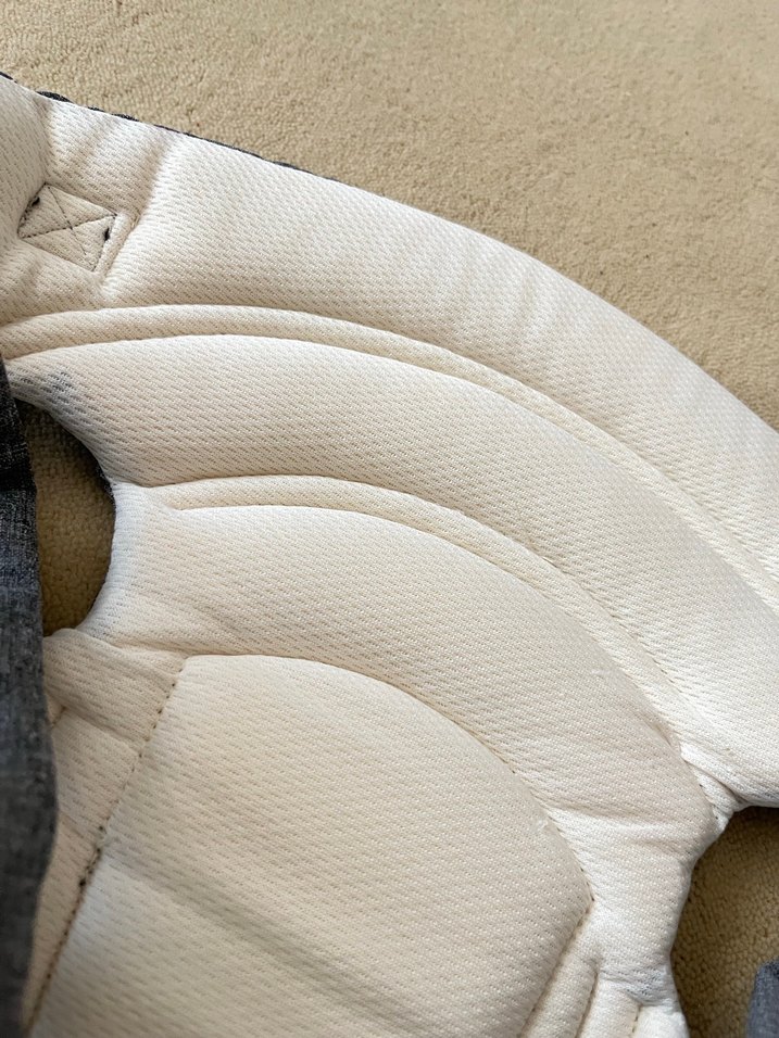 Gri kanguru - Görsel 3