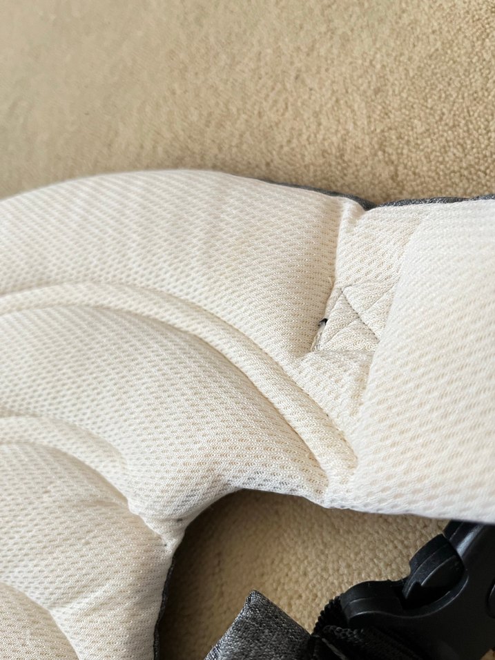 Gri kanguru - Görsel 4