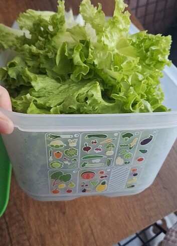 Tupperware Tupperware Sera 4.4 litre ve Kuru Gıda 4.4 litre
