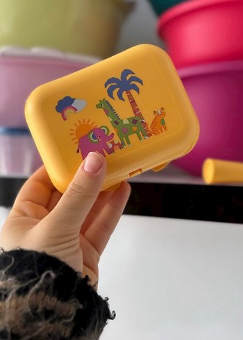 Tupperware istiridye saklama kabı 2li