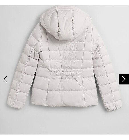 Gant Gant Mont