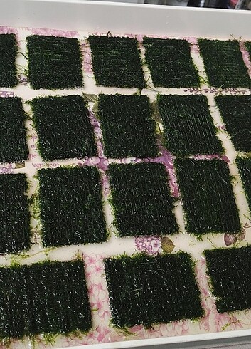 5x7 cm paslanmaz çelik tele sarılı stringy moss
