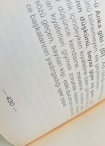 Ata sözleri ve Deyimler sözlüğü - Görsel 2