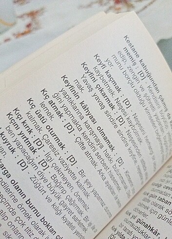 Ata sözleri ve Deyimler sözlüğü - Görsel 6