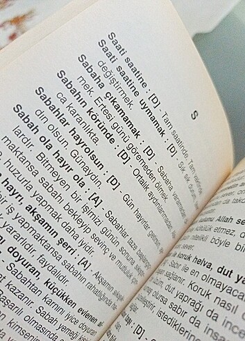 Ata sözleri ve Deyimler sözlüğü - Görsel 8